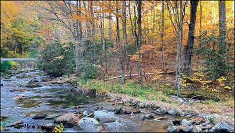 Smoky Mountain Stream Fall Scene In The Great Smoky Mounta Flickr