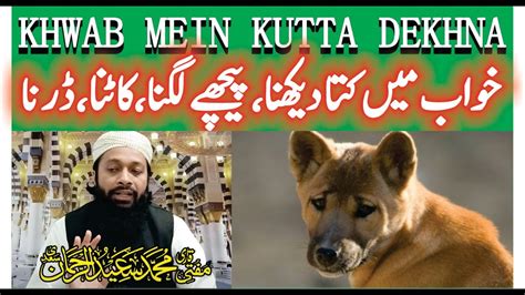 Khwab Mein Kutta Dekhna Ki Tabeer خواب میں کتا دیکھنا Dog In Dream