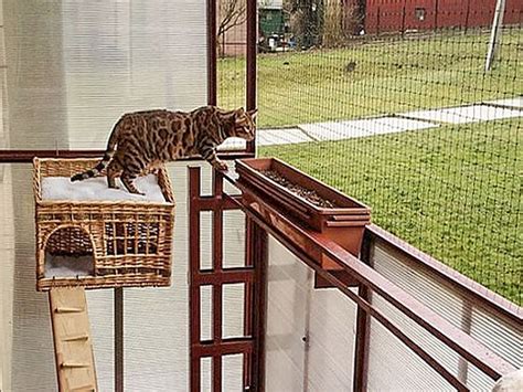 Zestaw Siatka Na Balkon Dla Kota X Bez Wiercenia Allegro Pl