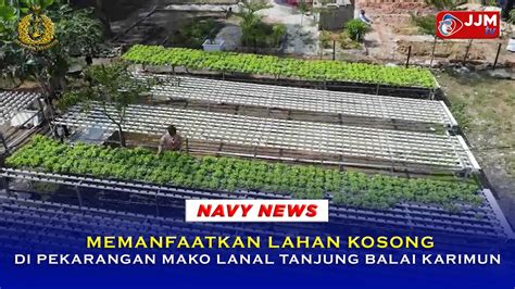 Navy News Memanfaatkan Lahan Kosong Di Pekarangan Mako Lanal Tanjung