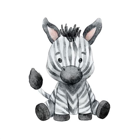 Niedliche Baby Zebra Aquarell Clipart Illustration Premium Vektor