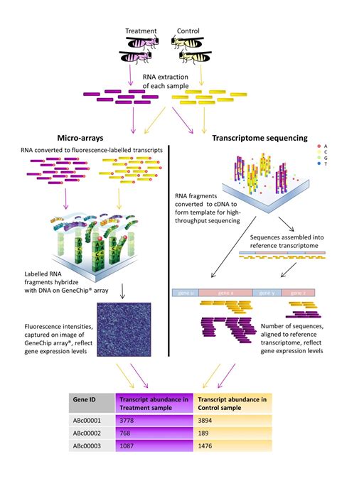 Beyond the Gene List: Exploring Transcriptomics Data in Search for Gene ...