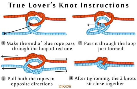 How To Tie A True Lover S Knot Step By Step Instruction And Uses