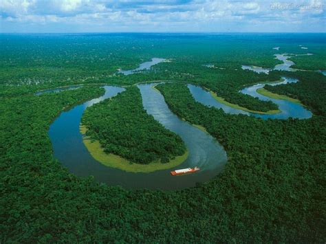 Los ocho bosques más hermosos del mundo EL PAÍS Uruguay