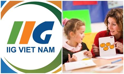 chung chi tieng anh toeic iig la gi  chuc thi  dau edulife