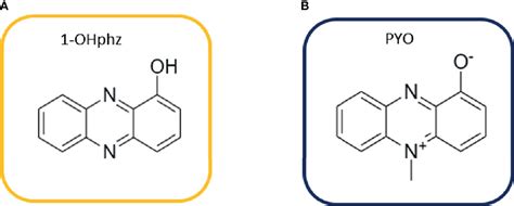 Frontiers Diagnosis And Stratification Of Pseudomonas Aeruginosa