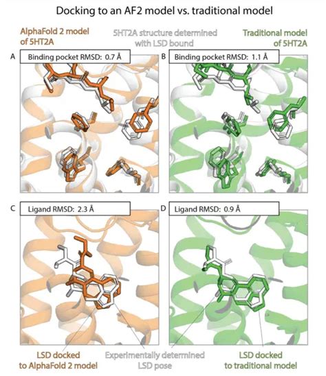 Alphafold S Impact On Drug Discovery A Closer Look At How Accurately