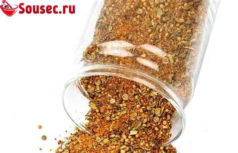 Приправа Маласянь: состав и применение в кулинарии