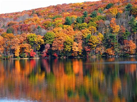 Golden Reflection Stanley Zimny Thank You For Million Views Flickr