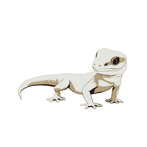 Lizard Gecko Illustration Artwork Vector Graphic Cute Geckos