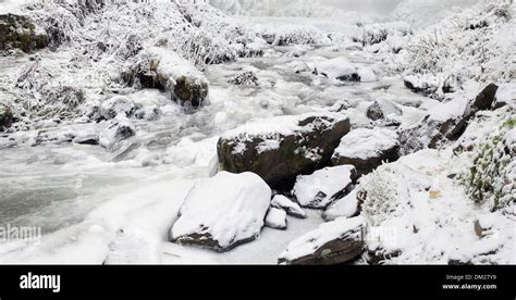 Latourell Falls Creek At Columbia River Gorge Oregon With Icicles And