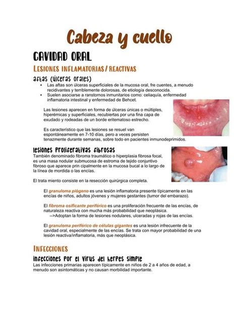 Cabeza Y Cuello Valrauda Udocz