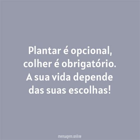 FRASES DE EFEITO Plantar é opcional