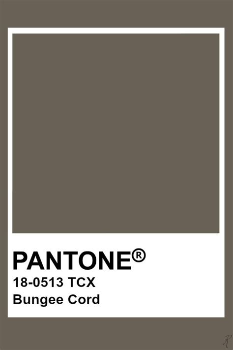 Pantone Bungee Cord Pantone Colour Palettes Pantone Color Pantone