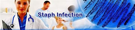 Infection Staph: Causes, Symptoms, and Treatment