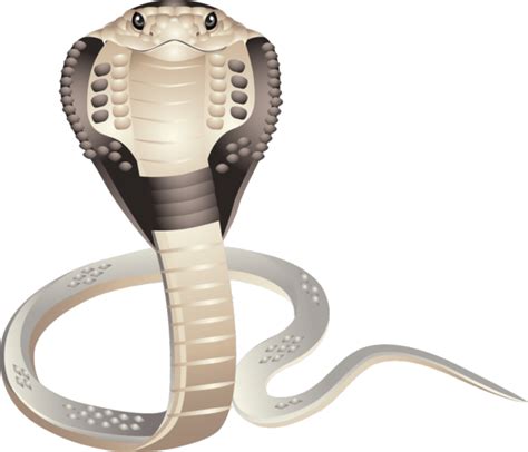 Cobra Serpiente Imágenes Png Descarga Gratuita