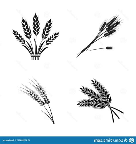 Wheat Stalk Vector at Vectorified.com | Collection of Wheat Stalk ...