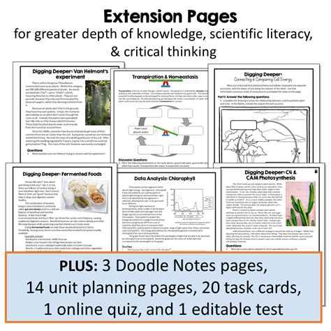 50 Cellular Respiration Worksheets For 9th Grade On Quizizz