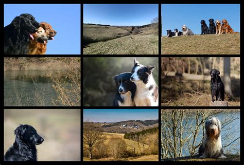 Collages Wildenburg En Wildenburg Fotografie Workshops