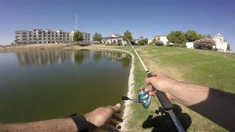 Largemouth Bass Fishing In Urban Ponds Youtube