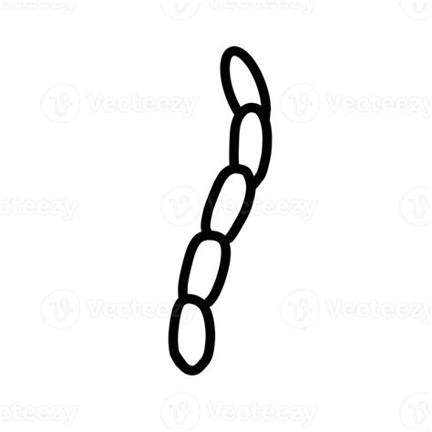 Bacteria Hand Drawn Organic Line Doodle Png