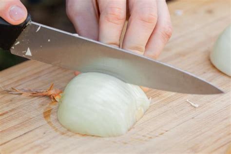 Cómo hacer zarangollo murciano No te pierdas esta deliciosa y fácil