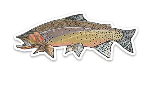 Casey Underwood Westslope Cutthroat Decal — Reds Fly Shop