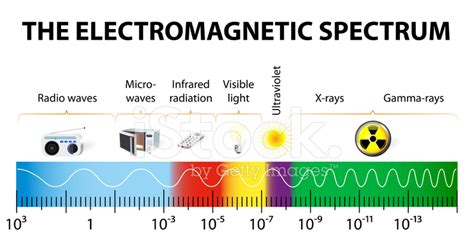 The Electromagnetic Spectrum Vector Diagram Stock Photo Royalty Free