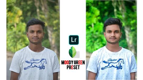 Snapseed Lightroom Best Photo Editing Moody Green Effect Photo