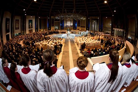 Bishops Conference Synodal Process Catholic Bishops Conference