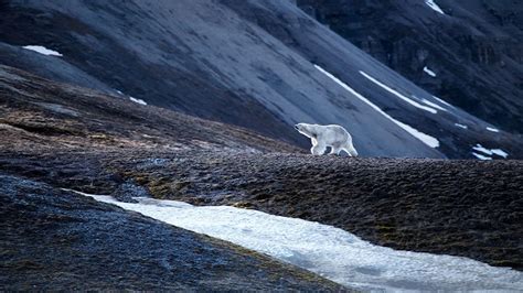 Iceland Norway S Arctic Explorer Viking 14 Night Cruise From