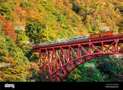 Kurobe Gorge Railway And Autumn Leaves Stock Photo Alamy