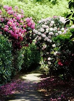 Kenwood House gardens (Kenwood House, English Stately)