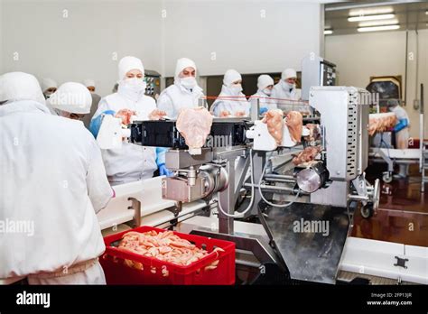 Production Line In The Food Factory Stock Photoworkers At Meet