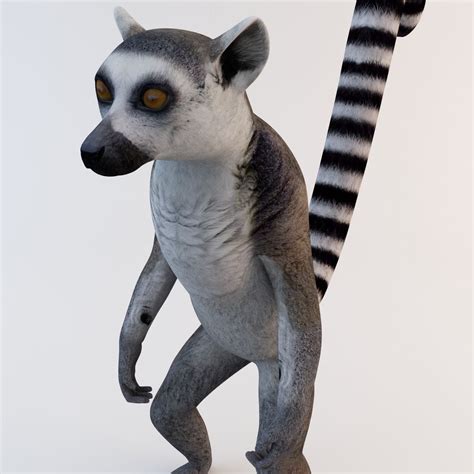 Ring Tailed Lemur 3d Model 99 3ds Max Ma Obj Lwo C4d Free3d