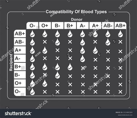 Donor Recipient Compatibility Images Stock Photos Vectors