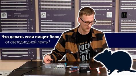 Что делать если пищит блок от светодиодной ленты? - YouTube