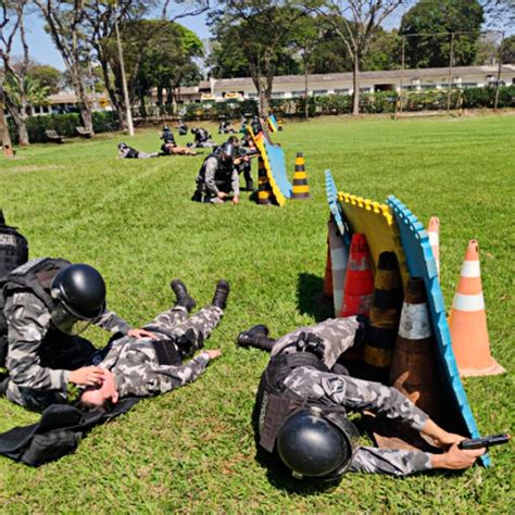 Treinamento Airsoft E Armas De Fogo