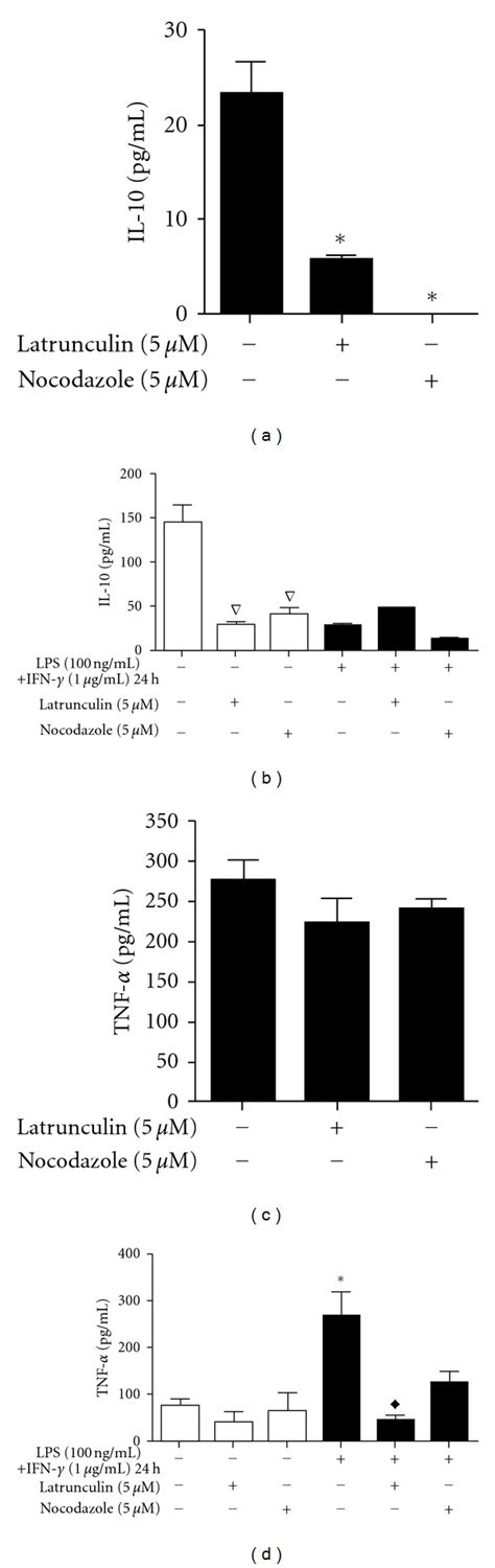 Effect Of Latrunculin And Nocodazole On Cytokine Production In Raw