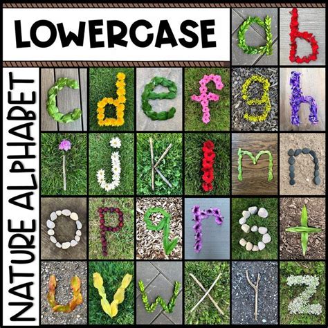 Nature Alphabet - Lowercase | Nature letters, Lowercase a, Alphabet