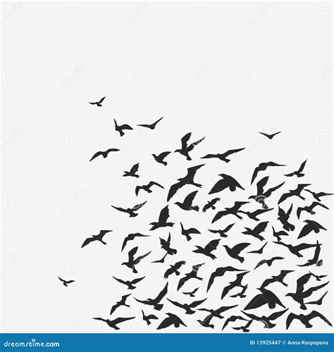 Flock Of Birds Stock Vector Illustration Of Pigeon Animals 13925447