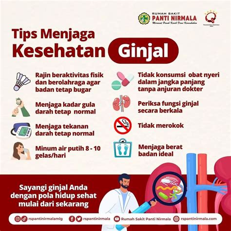 Penyakit Ginjal Adalah Istilah Yang Menggambarkan Setiap Gangguan Pada