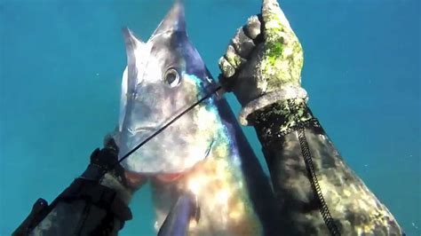 Spearfishing Ono Wahoo In Hawaii Youtube