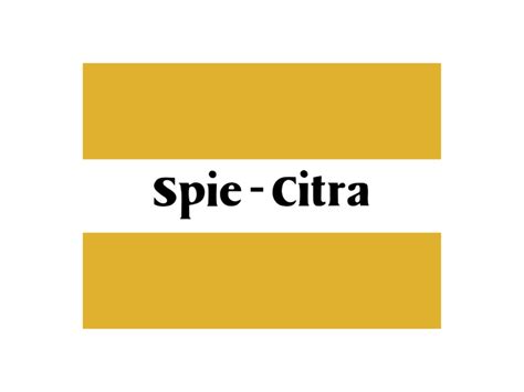 Spie Citra Logo PNG Transparent & SVG Vector - Freebie Supply