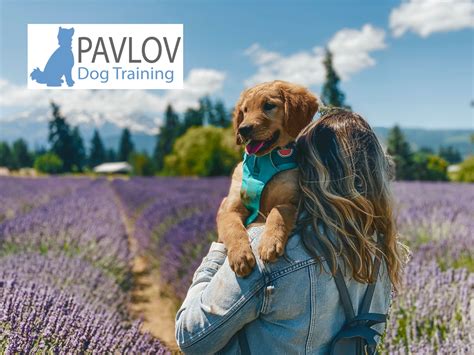 Dog Training in Portland