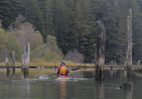 Best Places To Go Kayaking In California The Best Places To Go