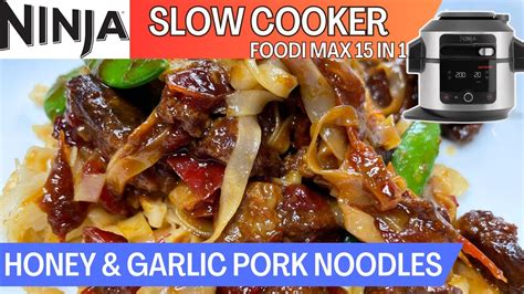 Ninja Foodi 15 In 1 Slow Cooker Honey And Garlic Pork Noodles Recipe Youtube