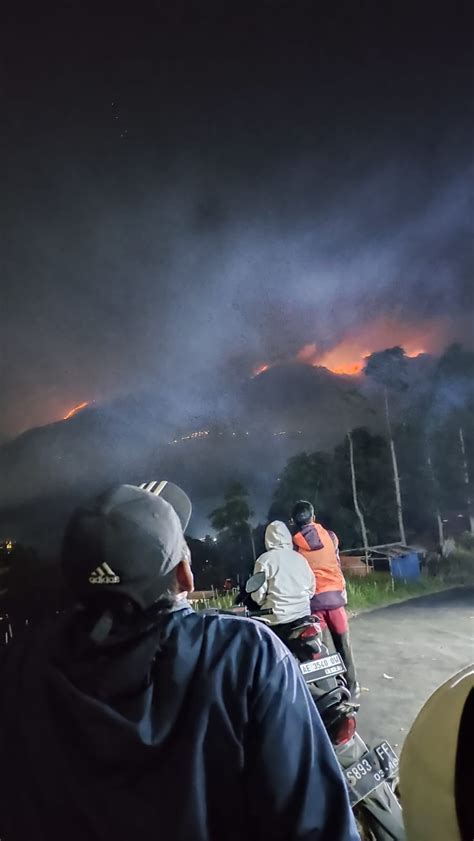 Luasan Lahan Terbakar Gunung Merbabu Capai 489 07 Ha Fakta Kalbar