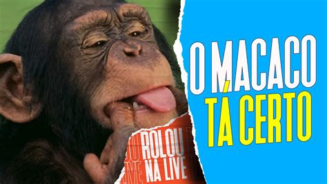 Os Melhores Comentários Sobre A Macaca Vida Loka Galãs Feios Youtube