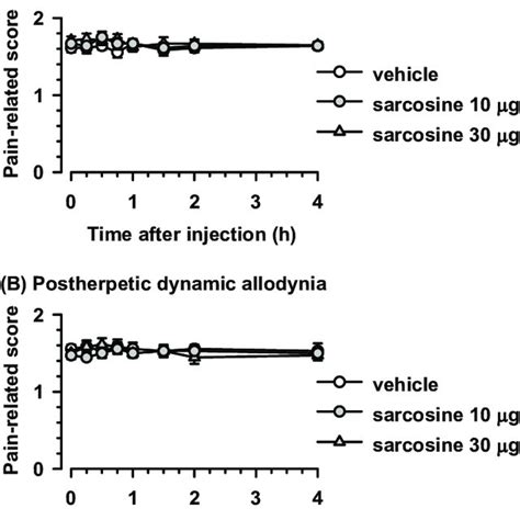 Effects Of Intrathecal Injections Of The Glyt Inhibitor Sarcosine On